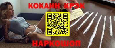 крисы Моздок