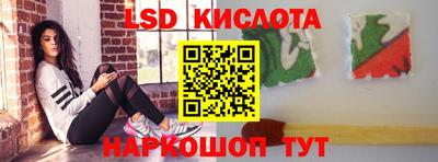 крисы Моздок