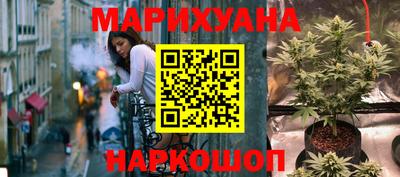 крисы Моздок