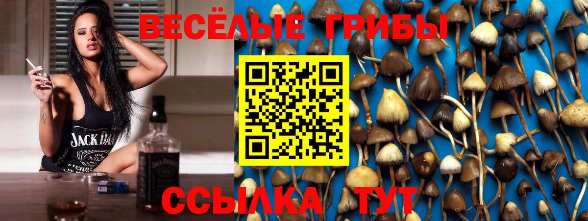 даркнет сайт  Галлюциногенные грибы мухоморы  Вход с VPN  Псилоцибиновые грибы Psilocybine cubensis  Удомля 